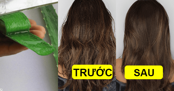 Đây là cách nha đam có thể giữ cho tóc và da đầu của bạn khỏe mạnh.