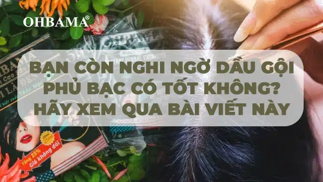 Bạn còn nghi ngờ Dầu Gội Phủ Bạc có tốt không? Hãy xem qua bài viết này