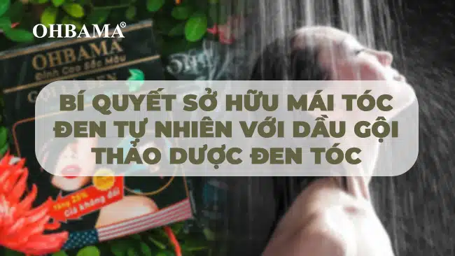 Bí quyết sở hữu mái tóc đen tự nhiên với Dầu gội thảo dược đen tóc