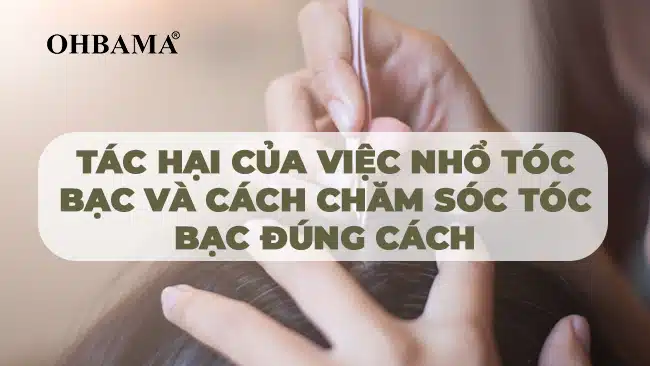 Tác hại của việc nhổ tóc bạc và cách chăm sóc tóc bạc đúng cách