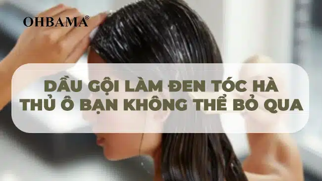 Dầu gội làm đen tóc hà thủ ô cho bạn không thể bỏ qua