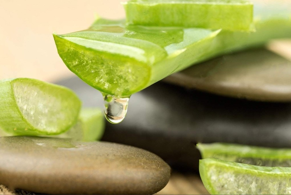 Những lưu ý khi dùng nha đam ủ tóc